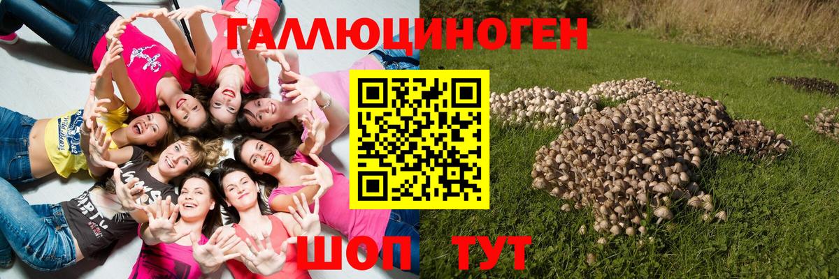 Галлюциногенные грибы прущие грибы  Вход с VPN  Рузаевка  Псилоцибиновые грибы мухоморы 